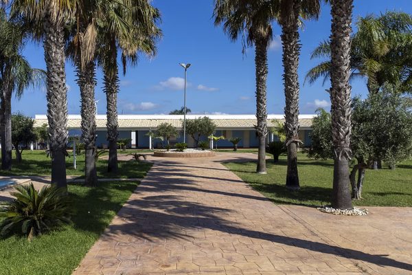 Viale di palme