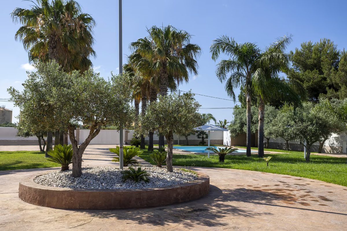 Ulivi e palme nel giardino de La Perla di Mare